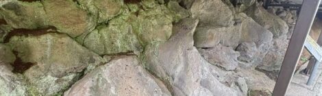 イラオ火山灰層観察施設